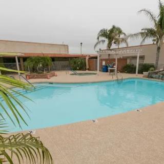 A serene outdoor swimming pool surrounded by palm trees, perfect for relaxation.