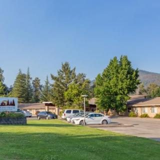 A sunny day at a building with a parking lot surrounded by trees.