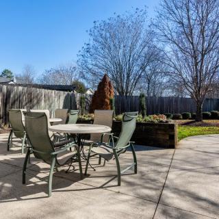 A sunny backyard patio with a table and chairs surrounded by trees.