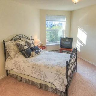 A cozy bedroom with a metal-framed bed and natural light from the window.
