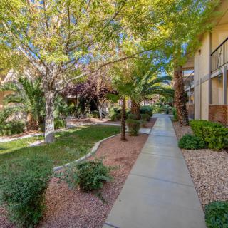 A peaceful pathway lined with trees and shrubs in a residential area.