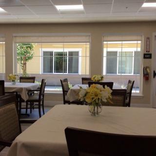 A well-lit dining area with multiple tables and chairs, each table adorned with a vase of flowers.