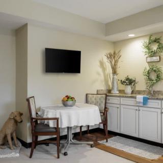 A cozy living space with a small dining table, chairs, and wall-mounted television, complemented by decorative plants and artwork.