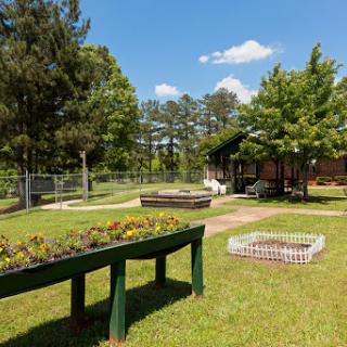 A serene garden featuring flower beds, lush greenery, and a clear blue sky.