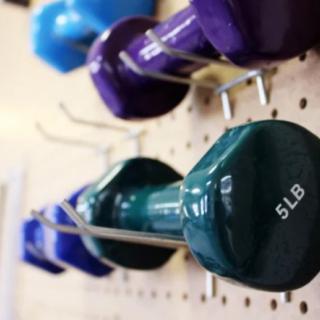 Colorful dumbbells neatly arranged on a rack in a gym.