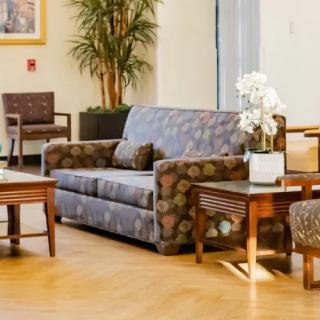 A comfortable lobby area with a sofa, chairs, and tables adorned with indoor plants.