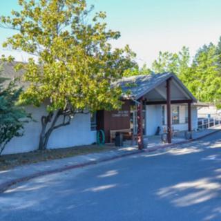 A suburban house with a tree in the front yard along a residential street.