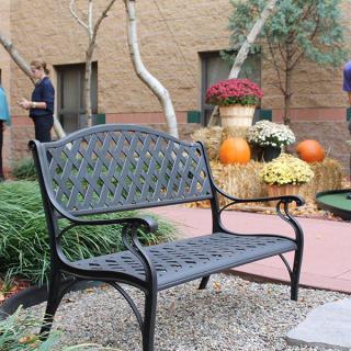 A decorative outdoor area with a bench, surrounded by pumpkins and colorful flowers.