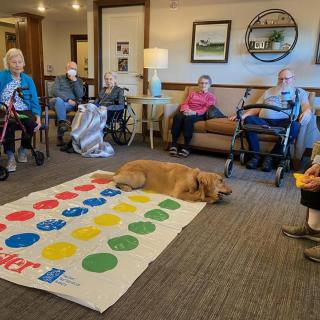 Elderly residents gather around a Twister game mat with a dog in the center, enjoying leisure time at a care facility.