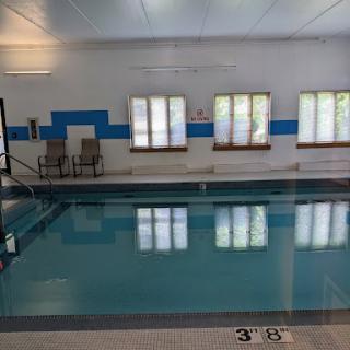 A serene indoor swimming pool surrounded by natural light.