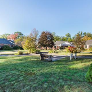 A serene residential area showcasing vibrant autumn foliage and well-kept gardens.