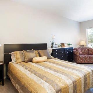 A cozy bedroom featuring a large bed with striped bedding, a dresser, and a sofa under natural light.