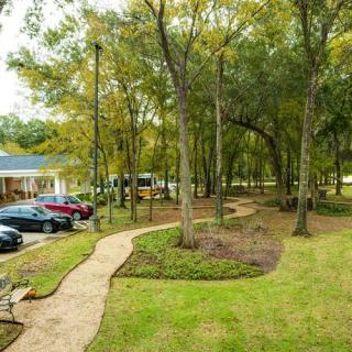 A serene park with a winding pathway surrounded by trees and greenery.