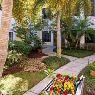 A sunny tropical garden with a pathway lined by palm trees and colorful flowers.