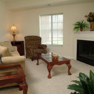 A cozy living room featuring a sofa, armchair, and coffee table, complemented by a fireplace and indoor plants.