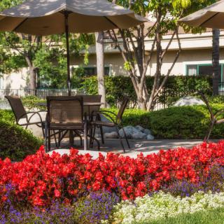 A peaceful garden patio with tables, chairs, and vibrant red flowers.