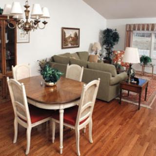 A cozy living and dining space featuring a wooden table, comfortable sofa, and decorative plants.