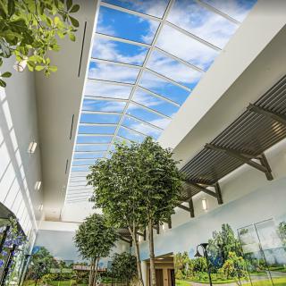 A modern indoor space featuring a garden with trees under a large skylight, providing ample natural light and greenery.