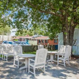 An outdoor patio area with white chairs and tables under the shade of a large tree.