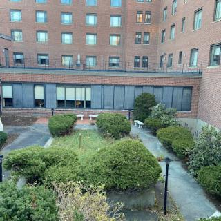 A view of a green courtyard surrounded by a brick building, featuring neatly trimmed bushes and paved pathways.