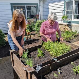 Two women tending to a raised herb garden on a sunny day.