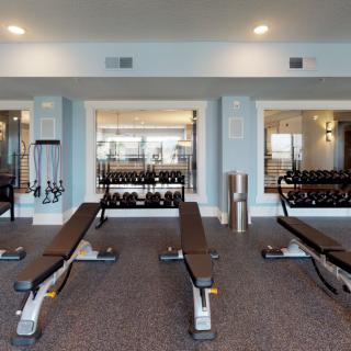 A modern gym equipped with benches, weights, and mirrors.