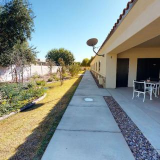 A sunny outdoor patio area with a pathway and seating.