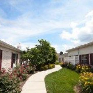 A sunny pathway flanked by buildings and a landscaped garden.