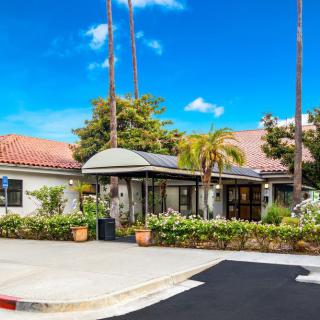 A sunny day at a building entrance surrounded by palm trees.