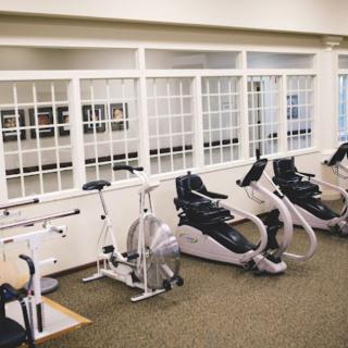 A row of stationary bikes and exercise equipment in a fitness center.