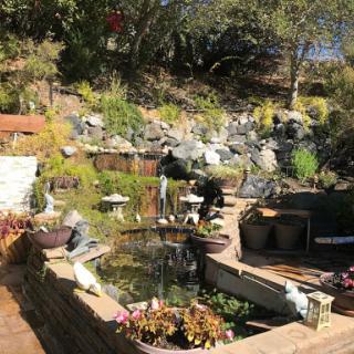 A serene garden scene with people tending to the plants and enjoying the natural surroundings.