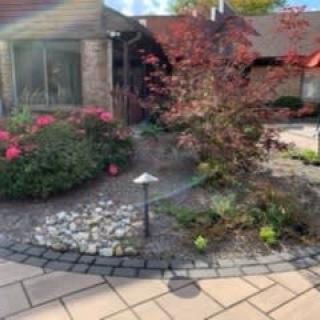 A well-maintained garden featuring a variety of plants and flowers, with a stone pathway and outdoor lighting.