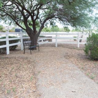 A serene outdoor setting featuring a sandy pathway, shaded by a tree and bordered by a white fence.