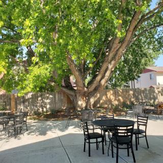A tranquil outdoor patio space surrounded by lush greenery, perfect for gatherings or quiet moments.