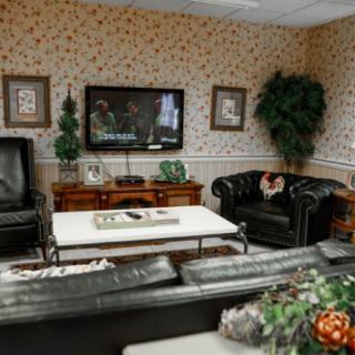 A cozy living room with leather furniture, a television, and decorative indoor plants.