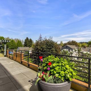 A sunny balcony with potted plants and a view of trees in the distance.