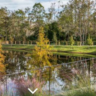 A serene pond surrounded by trees with reflections in the water.