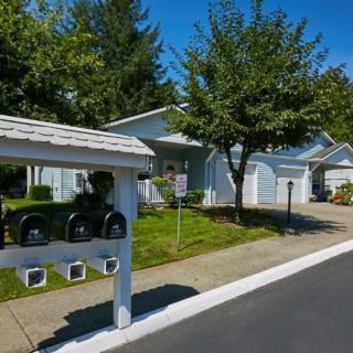 A suburban residential street with mailboxes and houses.