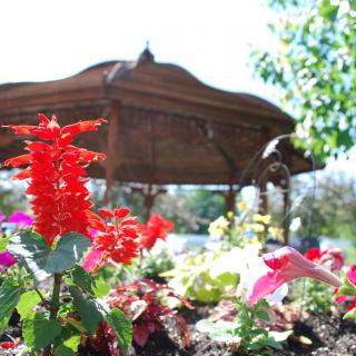 A vibrant garden with colorful flowers in front of a wooden gazebo.