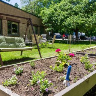 A vibrant flower bed in a sunny garden with a swing and lush greenery in the background.