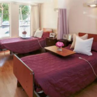 A hospital room with two neatly arranged beds, featuring purple bedspreads and a window view.