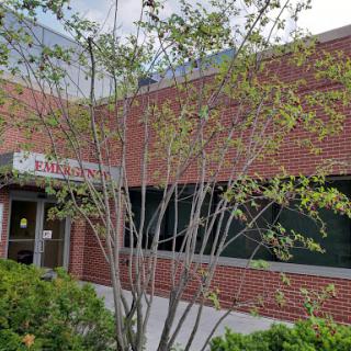 A brick building featuring large windows and a small tree in the foreground.