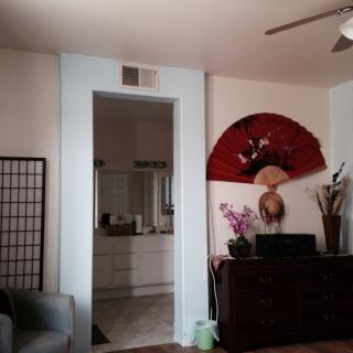 A living room featuring a decorative fan on the wall, a doorway leading to another room, and various plants enhancing the decor.