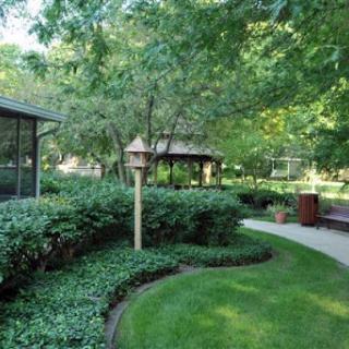A serene garden path winding through lush greenery.