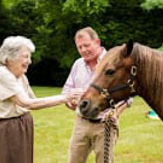 An elderly woman and a man interacting with a horse outdoors.
