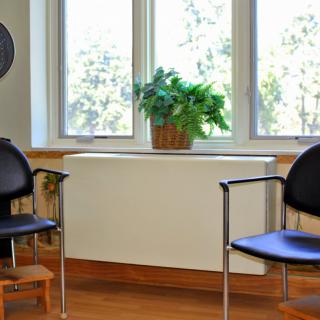 A waiting area with two chairs, a potted plant, and large windows.
