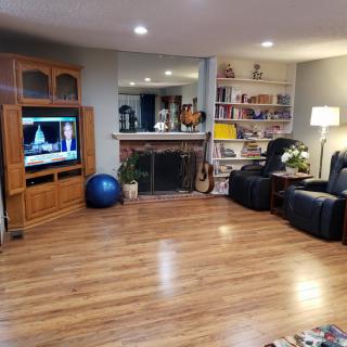 A cozy living room with a television, exercise ball, and fireplace surrounded by bookshelves.
