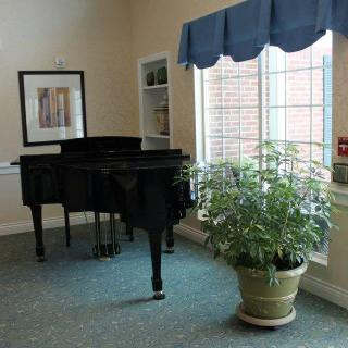 A grand piano in a well-lit room with a large window and a potted plant.