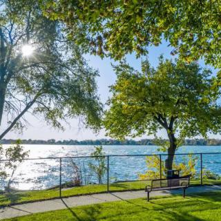 A serene lakeside park with a bench under the shade of trees on a sunny day.
