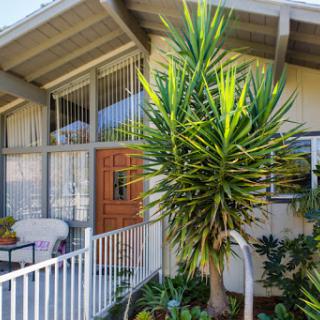 A charming exterior view of a house with a vibrant plant in the foreground and a welcoming entrance.